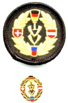 ivv patch